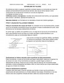 TIPOS Y CAUSAS DE FALLAS MAS COMUNES