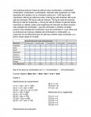 Investigacion de operaciones. Apuntes Varios