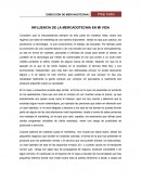 INFLUENCIA DE LA MERCADOTECNIA EN MI VIDA