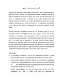 ¿Los virus son seres vivos?.