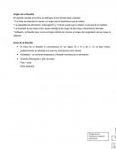 Origen de la filosofía. Inicio de la filosofía