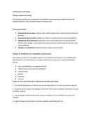 Este enfoque sostiene que la mayoría de los problemas concernientes a la administración del tiempo se deben al caos a la falta de orden en nuestra vida.