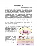 La pioglitazona es un agonista (sustancia que es capaz de unirse a un receptor celular) potente y selectivo del receptor la proliferación de los peroxisomas gamma activados (PPARg) estos receptores regulan la transcripción de una serie de genes que resp