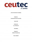 El Comportamiento del Consumidor. Proyecto IMPALA