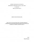 PREVALENCIA DE LOS SÍNTOMAS DEL TRASTORNO OBSESIVO COMPULSIVO