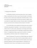 La enfermedad de Kawasaki es un trastorno que afecta a la piel, la boca y los ganglios linfáticos y que típicamente se da en niños de menos de cinco años de edad.