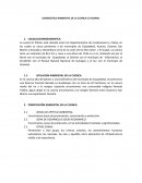 DIAGNOSTICO AMBIENTAL DE LA CUENCA EL PALMAR