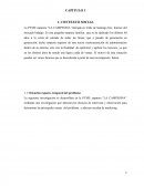 Zapateria “LA CAMPESINA"