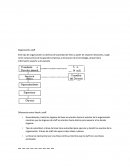 Tipologia de la organización.