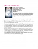 Reseña Maravilloso Desastre