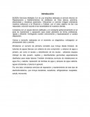 Caso BOSEM Servicios Múltiples S,A