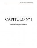 CAPITULO Nº 1 Introducción y Generalidades