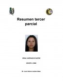 Una interfaz de cerebro a cerebro (BTBI)