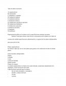 Tipos de planos necesarios