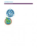 Betalactámicos PENCILINAS: MECANISMO DE ACCION