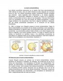 La teoría endosimbiótica.