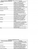 ACT. Adquisicion del conocimiento biologia1 SISTEMA ENDOTERMICO