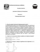 Laboratorio Unificado de Fisicoquímica.