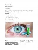 Tratamiento genico de la ACL