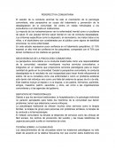 IDEAS BÁSICAS DE LA PSICOLOGÍA COMUNITARIA. PERSPECTIVA COMUNITARIA