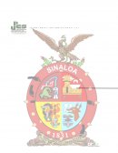 Situación didáctica: Semejanzas y diferencias entre plantas y animales