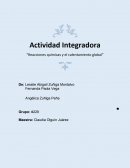 Actividad Integradora “Reacciones químicas y el calentamiento global”