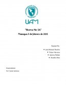 Selección de ideas: Proyectos innovadores para Nicaragua