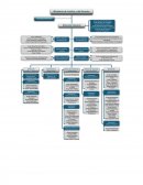 QUIEN ES EL RESPONSABLE del programa COPASST: En las empresas, el Representante R/ Legal es el responsable de que se implemente y desarrolle, así mismo, de la conformación y el funcionamiento.