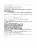 Retículo endoplásmico (ER)