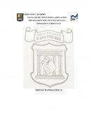 PROYECTO PEDAGÓGICO. TESIS