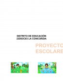 Institución Educativa: Particular “Luz y Libertad”