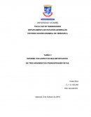 Trabajo acerca de la HIstoria de Venezuela