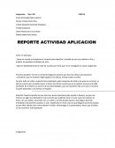 REPORTE ACTIVIDAD APLICACION