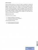 Analisis horizontal y vertical. Elaboración propia con datos de Holcim Ecuador