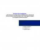 Diagnostico organización de una asociación cafetalera