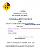 ENSAYO ARGUMENTATIVO DONNA C.S SUMMERS