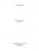 Resumen Reglas de Codd