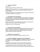 ¿Qué es presupuesto?