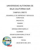 DESARROLLO DE EMPRESAS Y SERVICIOS TURISTICOS