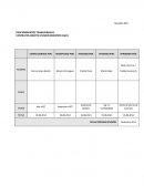 PROCEDIMIENTOS TRANSVERSALES CONTRATOS INSERTS DIVISION MINISTRO HALES