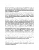 RESUMEN EVOLUCION DEL TRABAJO