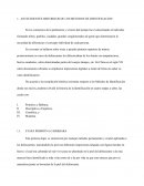 ANTECEDENTES HISTORICOS DE LOS METODOS DE IDENTIFICACION