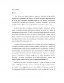 Digestión mecánica y química en la boca