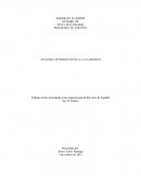 ANÁLISIS LITERARIO NOVELA LA LLAMARADA