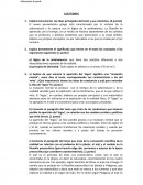 Explica brevemente las ideas principales del texto y sus relaciones