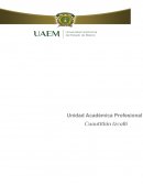 Diseño Integral del Producto