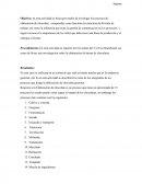 Investigar los procesos de elaboración de chocolate