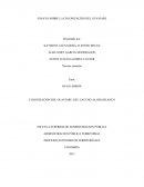 PROCESOS ECONOMICOS TERRITORIALES