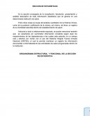 SECCION DE ESTADÍSTICAS