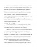 Aporte energético para la contracción muscular: vías metabólicas